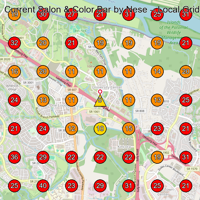 Current Salon & Color Bar by Nese GeoGrid visibility map for Hair Salon in Ashburn